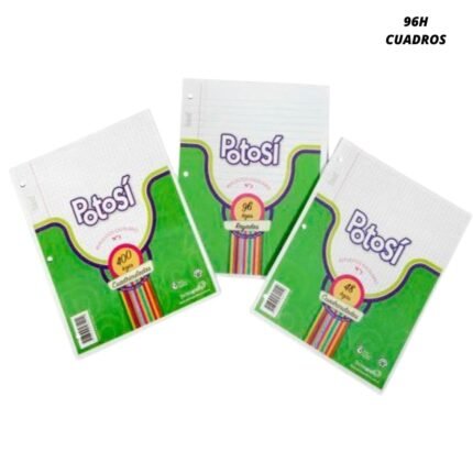 REPUESTO POTOSI N°3 96 - HOJAS - CUADRO